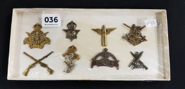 TRAY OF 8 ARMY BADGES
