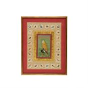 Fine painting of a domestic Falcon, miniature painting on card [India, early 20th century]