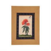 Indian botanical painting, painted on card [India (probably Rajasthan), early 20th century]