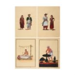 Group of 12 Company School illustrations, on paper [India, early twentieth century]