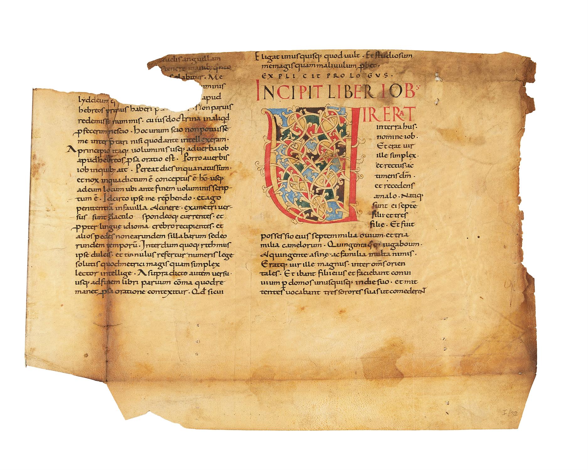 Atlantic Bible leaf with white vine initial, in Latin, manuscript on parchment [Italy, 12th century]