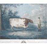 Various Artists The Unrivalled Lincolnshire Heifer; The Durham Ox; The Famous Lincolnshire Ox; We...