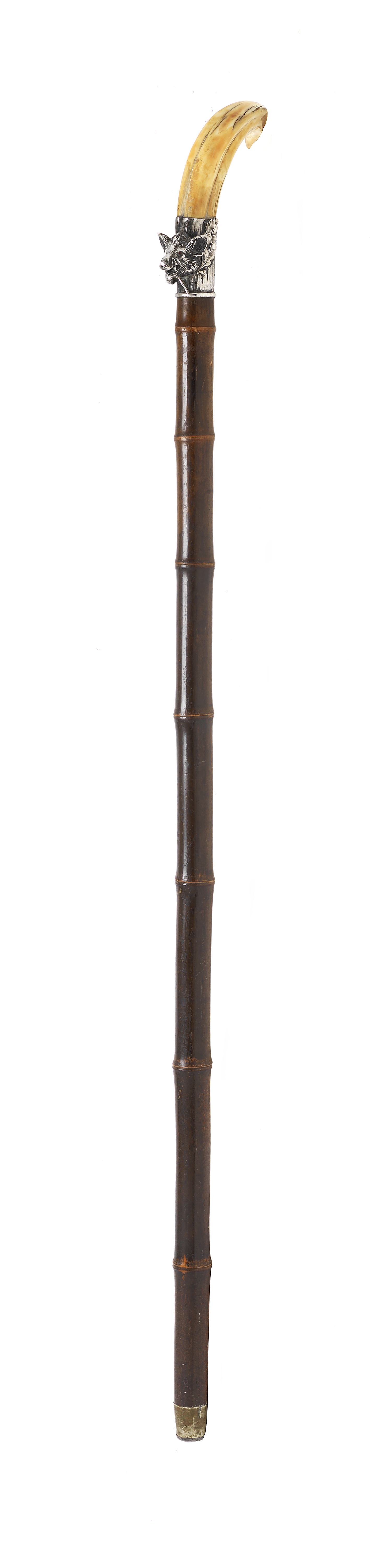 An Austrian silver-mounted boar's tusk walking cane 1872 - 1922 Vienna mark