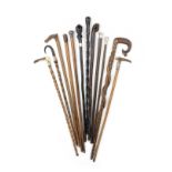 A collection of twelve walking sticks, late 19th and early 20th century (12)