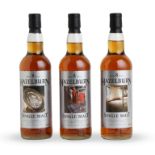 Hazelburn-8 year old (3)