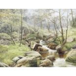 William Henry Mander (British, 1850-1922) 'In the woods, Sheffield'