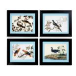 An assembled set of twelve 19th century Chinese export rice paper and gouache pictures of birds (12)
