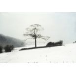 Peter Brook (British, 1927-2009) Snow Mist Last January