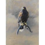 Alan M. Hunt (British, born 1947) Falcon (unframed)