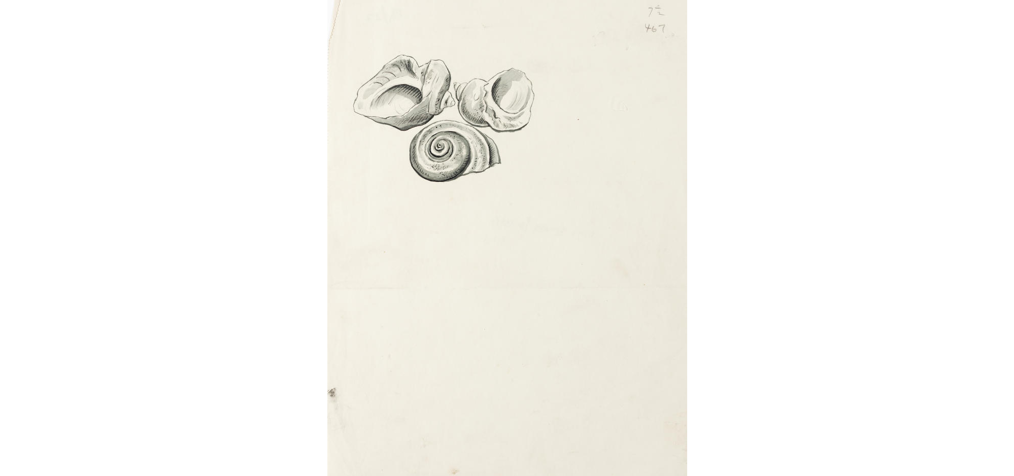 Cecil Beaton (British, 1904-1980) Shells 28 x 21cm (11 x 8 1/4in) sheet; 8 x 11cm (3 1/8 x 4 5/16...