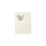 Cecil Beaton (British, 1904-1980) Shells 28 x 21cm (11 x 8 1/4in) sheet; 8 x 11cm (3 1/8 x 4 5/16...