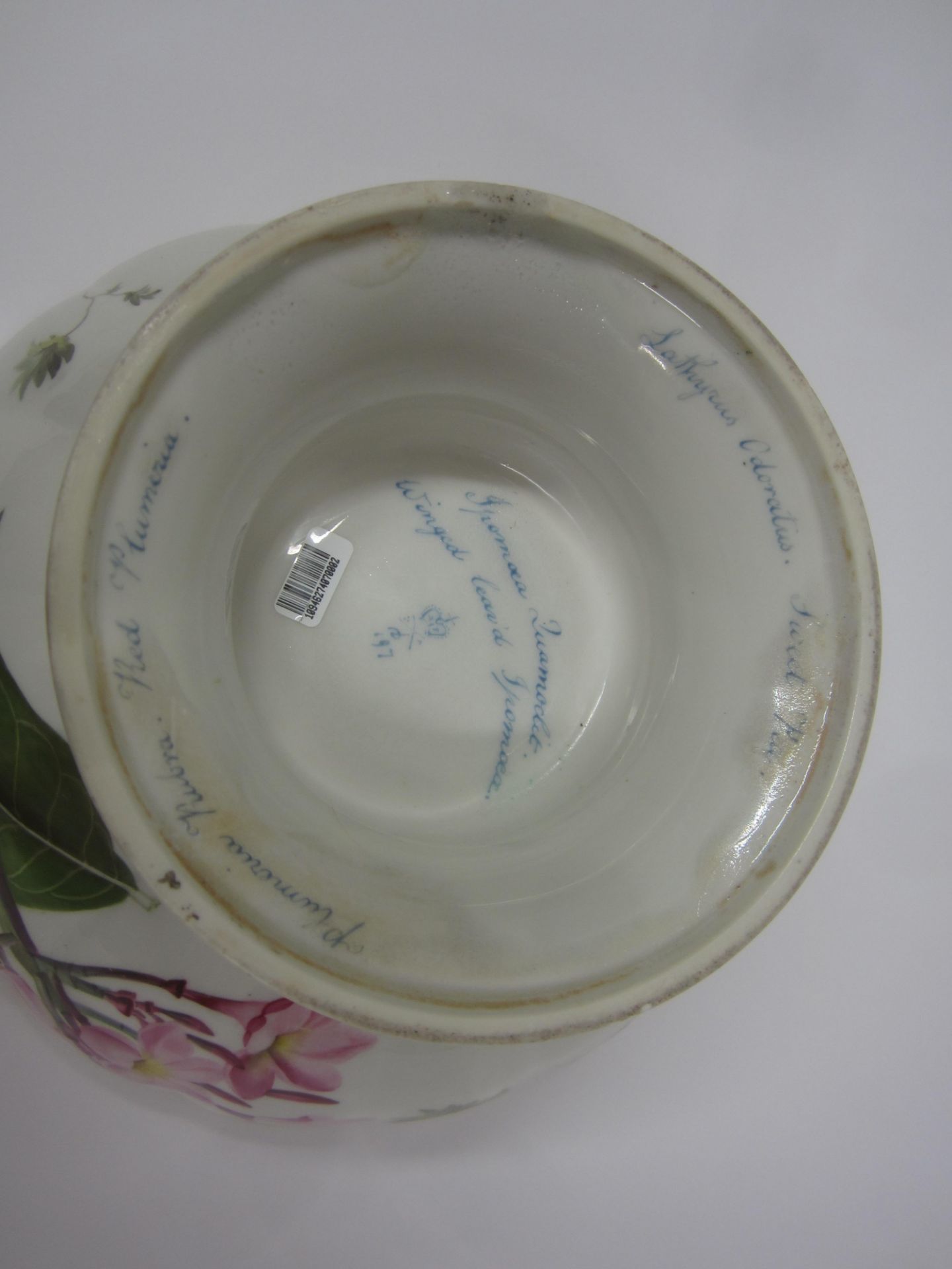 A rare Derby botanical footed bowl Circa 1800 - Bild 5 aus 5