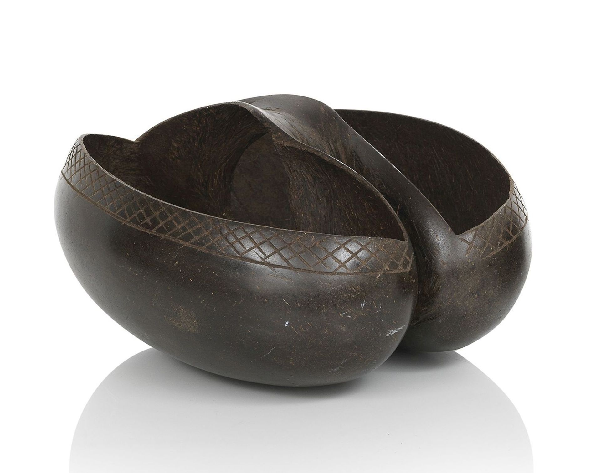 A carved and polished Coco de Mer nutshell (Lodoicea Maldivica) formed as a basket