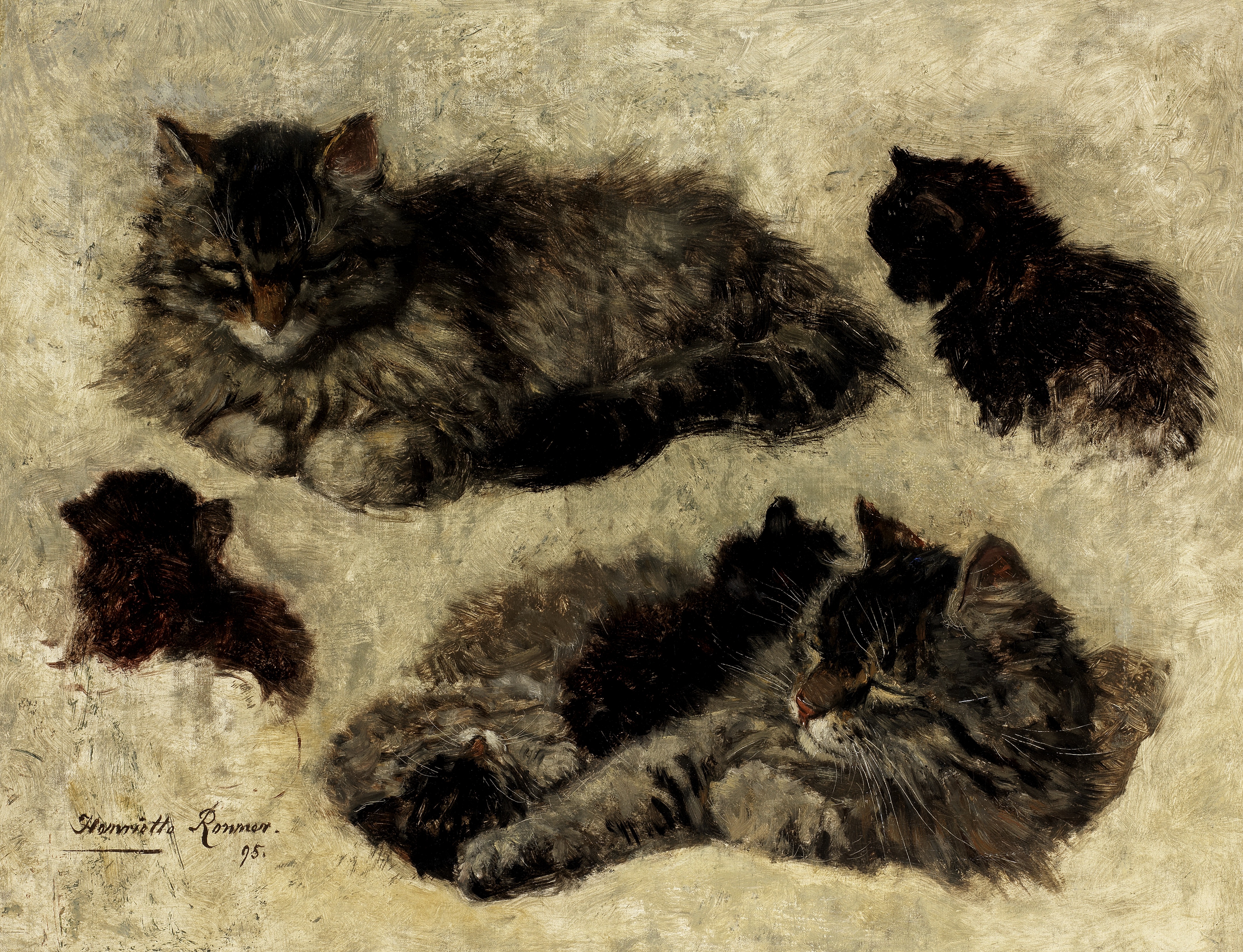 Henriette Ronner-Knip (Dutch, 1821-1909) Study of cat and kittens