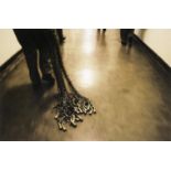 Mikhael Subotzky (South African, born 1981) Shackles, Pollsmoor Maximum Security Prison, 2004
