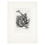 Francisco José de Goya y Lucientes (Spanish, 1746-1828) Vieja Columpiándose (Old Woman on a Swing...