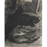 Théophile Alexandre Steinlen (Swiss/French, 1859-1923) Chats A rare lithograph printed in black, ...