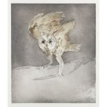 Dame Elisabeth Frink R.A. (British, 1930-1993) Long-Eared Owl, from 'Six Owls' Series Etching wi...