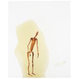 Antony Gormley (B. 1950) Insider 41, 1999