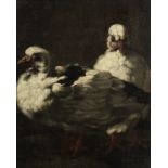 Circle of Felice Boselli (Piacenza 1650-1732 Parma) Study of pigeons