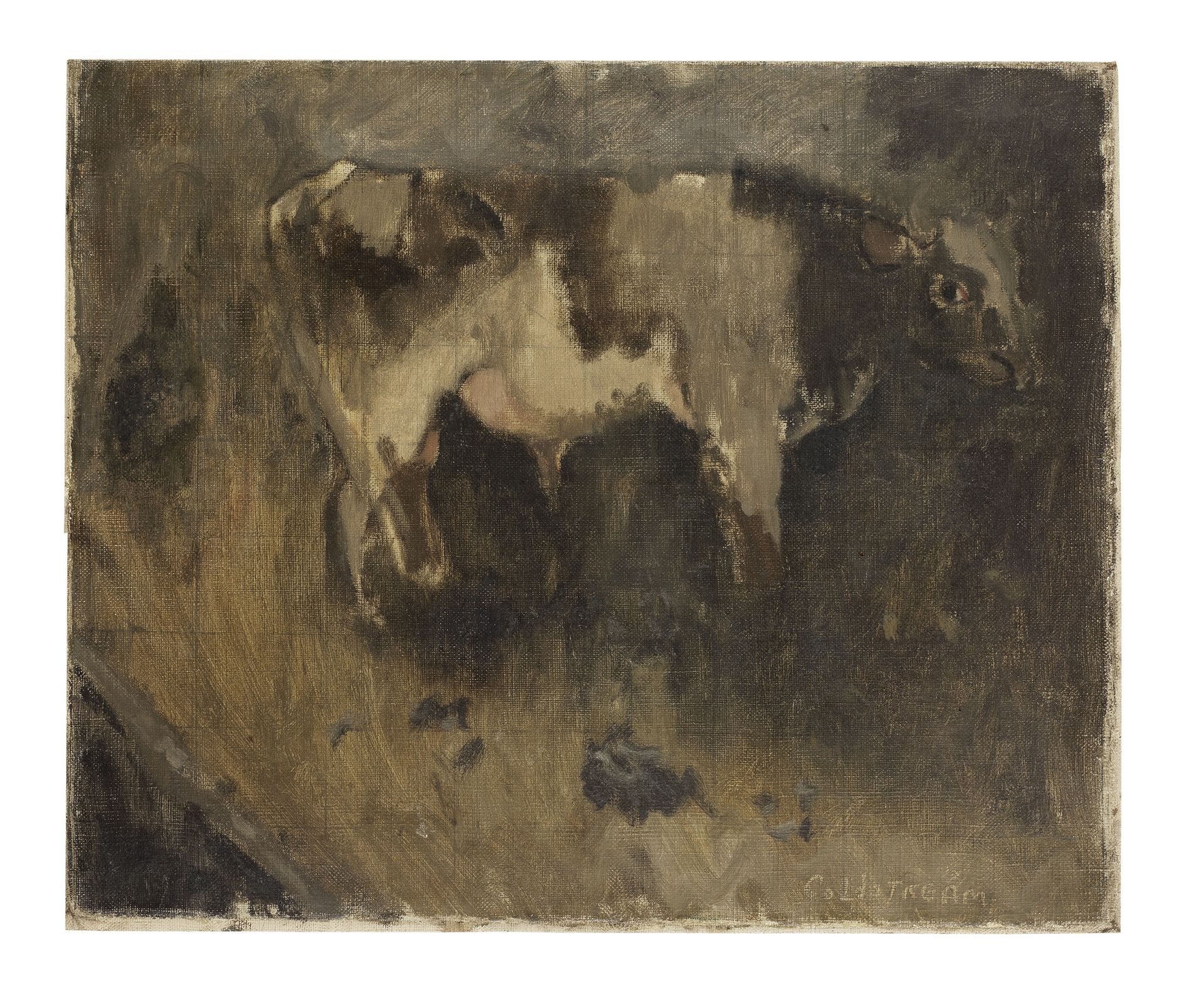 Sir William Coldstream (British, 1908-1987) Study of a Bullock 38.2 x 46.4 cm. (15 x 18 1/4 in.) ...