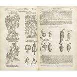 GERARD (JOHN) The Herball of Generall Historie of Plantes, A. Islip, J. Norton, and R. Whitakers,...