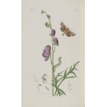 CURTIS (JOHN) British Entomology; being illustrations and descriptions of genera of insects found...