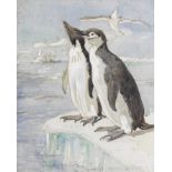 POLAR MARSTON (GEORGE EDWARD) 'Adelie Land Penguin. Antarctic Penguin', [1910s?]