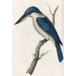 SWAINSON (WILLIAM) Zoological Illustrations or Original Figures and Descriptions of New, Rare, or...