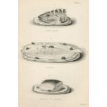 ACTON (ELIZA) The English Bread-Book for Domestic Use, 1857; Modern Cooking, 1855 (2)