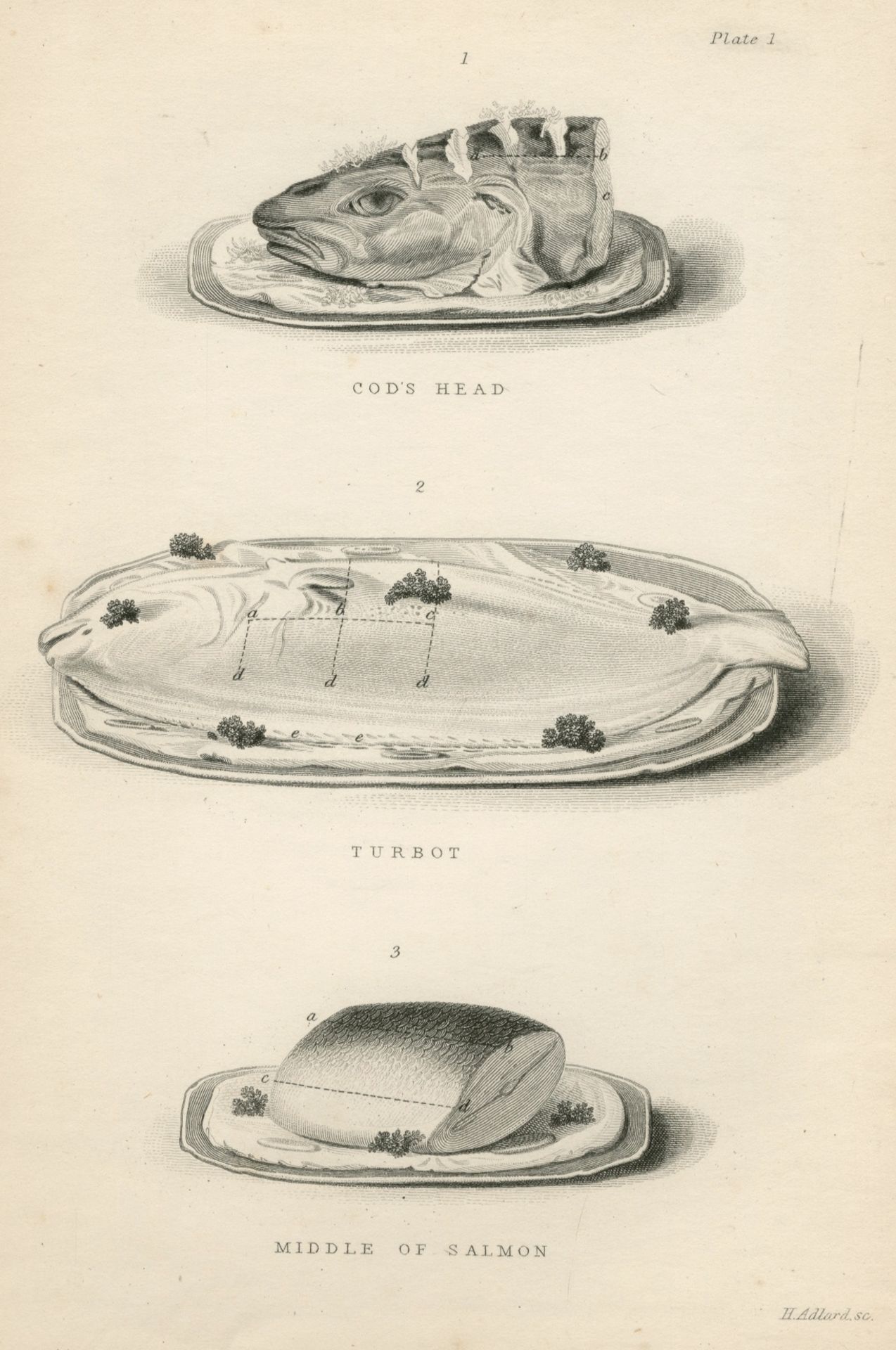 ACTON (ELIZA) The English Bread-Book for Domestic Use, 1857; Modern Cooking, 1855 (2)