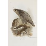 LILFORD (THOMAS L. POWYS, FOURTH BARON) Coloured Figures of the Birds of the British Islands, 7 v...