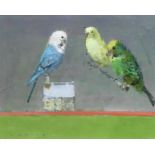 Frederick Cuming R.A., N.E.A.C. (British, born 1930) Budgies