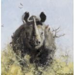 David Shepherd C.B.E. (British, 1931-2017) Rhino