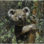 David Shepherd C.B.E. (British, 1931-2017) Koala