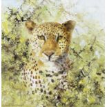 David Shepherd C.B.E. (British, 1931-2017) Cheetah