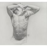 Michael Leonard (British, born 1933) Stripped Torso 4