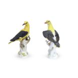 Two Meissen models of golden orioles, late 19th/early 20th century