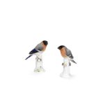 Two small Meissen models of bull finches, early 20th century