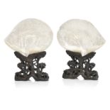 A pair of carved shells on wood stands 19th century (4)