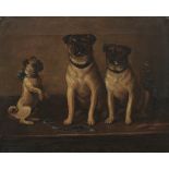 J Coghlan (British 19th Century) Pugs - 'Happy Family'