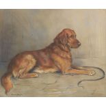 Marion Rodger Hamilton Harvey (British, 1886-1971) Golden Retriever 50 x 60 cm. (19 11/16 x 23 5/...