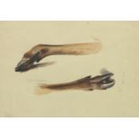 ARCHIBALD THORBURN (BRITISH, 1860-1935) Deer Slots, Left Hind Foot