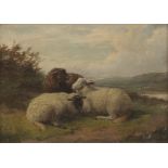 Thomas Sidney Cooper, RA (British, 1803-1902) Sheep Resting in Landscape