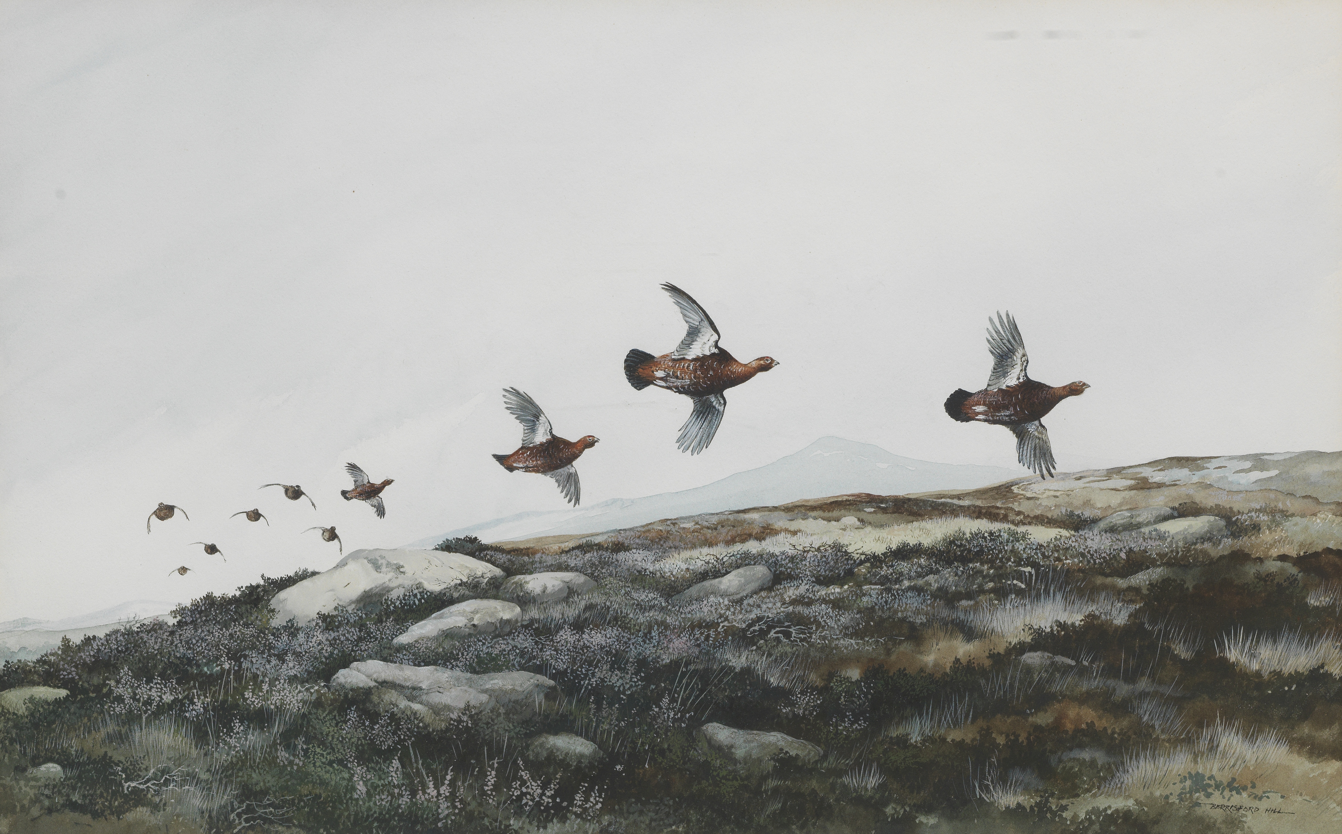 Berrisford Hill (British, born 1930) Grouse in Flight