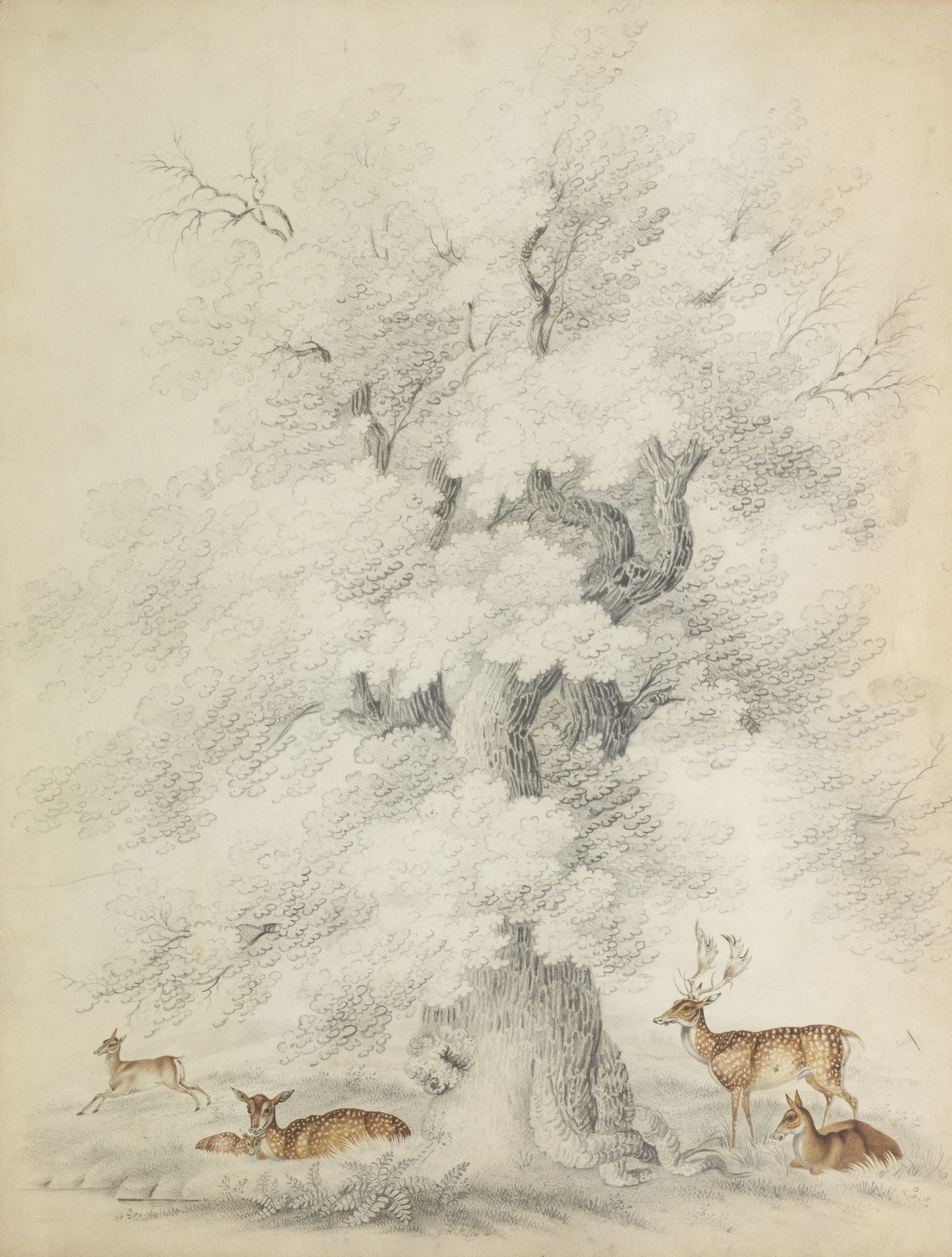 G.A. Foley Fallow Deer Beneath an Oak Tree