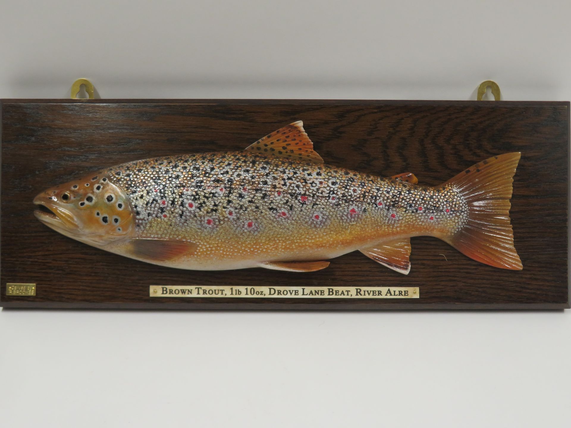 A CARVED WOODEN MODEL OF A BROWN TROUT BY ROGER BROOKES