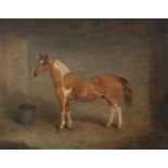 Attributed to William Henry Carpendale (British 1830-1883) Skewbald Pony in Stable