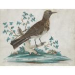 A 19th century feather picture of a thrush (3)