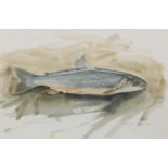 Keith Brockie (British, born 1955) Arctic Charr watercolour, signed and dated 1988; Together with...